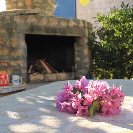 דירה By The Sea Zdrelac, Pasman - 8362